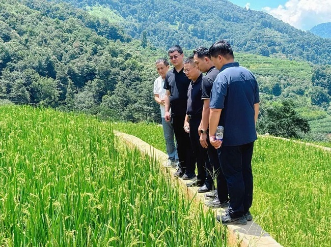 公司与土地集团到盐边县作坊村土地整治项目检查指导