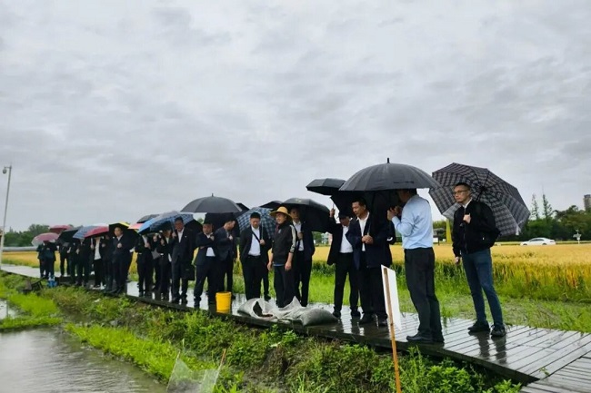 党业融合践初心｜“党建引领 种子赋能 转型攻坚”主题党业融合实践行动